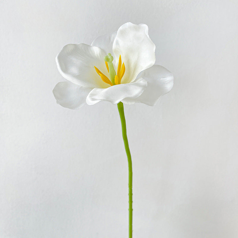 Artificial Tulip Stem – 21.7" Tall, 4.3" Flower Head, Leafless | Artificial Flowers for Wedding & DIY