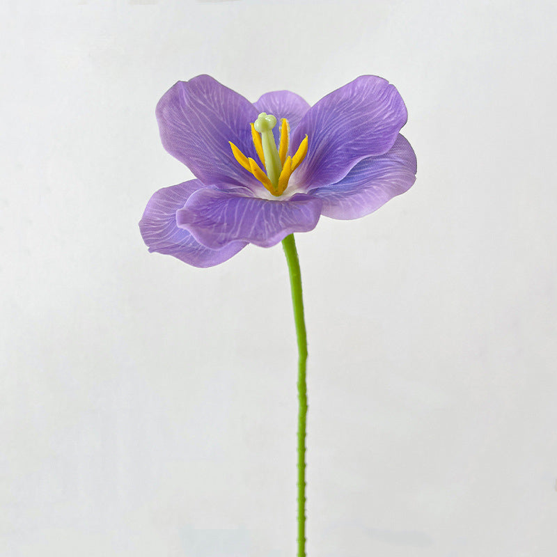 Artificial Tulip Stem – 21.7" Tall, 4.3" Flower Head, Leafless | Artificial Flowers for Wedding & DIY