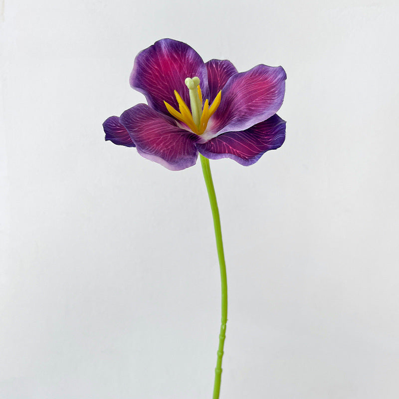 Artificial Tulip Stem – 21.7" Tall, 4.3" Flower Head, Leafless | Artificial Flowers for Wedding & DIY