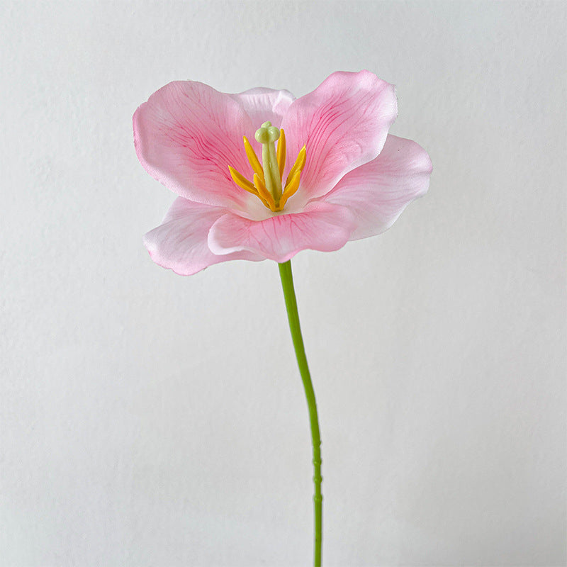 Artificial Tulip Stem – 21.7" Tall, 4.3" Flower Head, Leafless | Artificial Flowers for Wedding & DIY