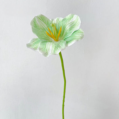 Artificial Tulip Stem – 21.7" Tall, 4.3" Flower Head, Leafless | Artificial Flowers for Wedding & DIY